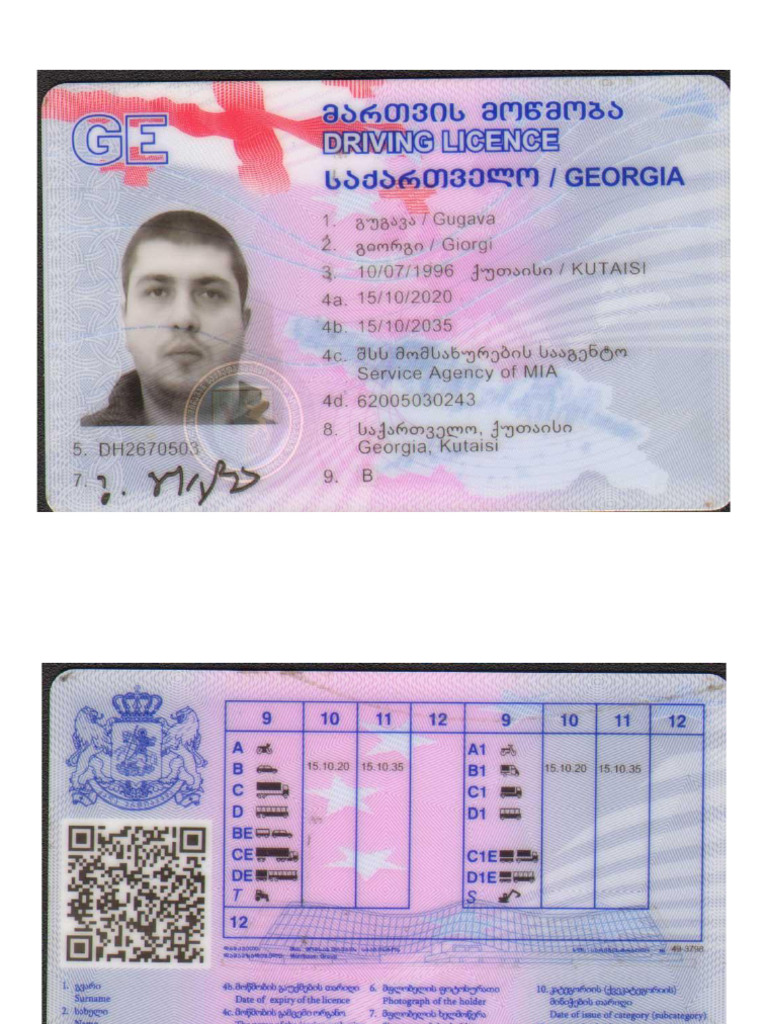 Führer Schein | PDF