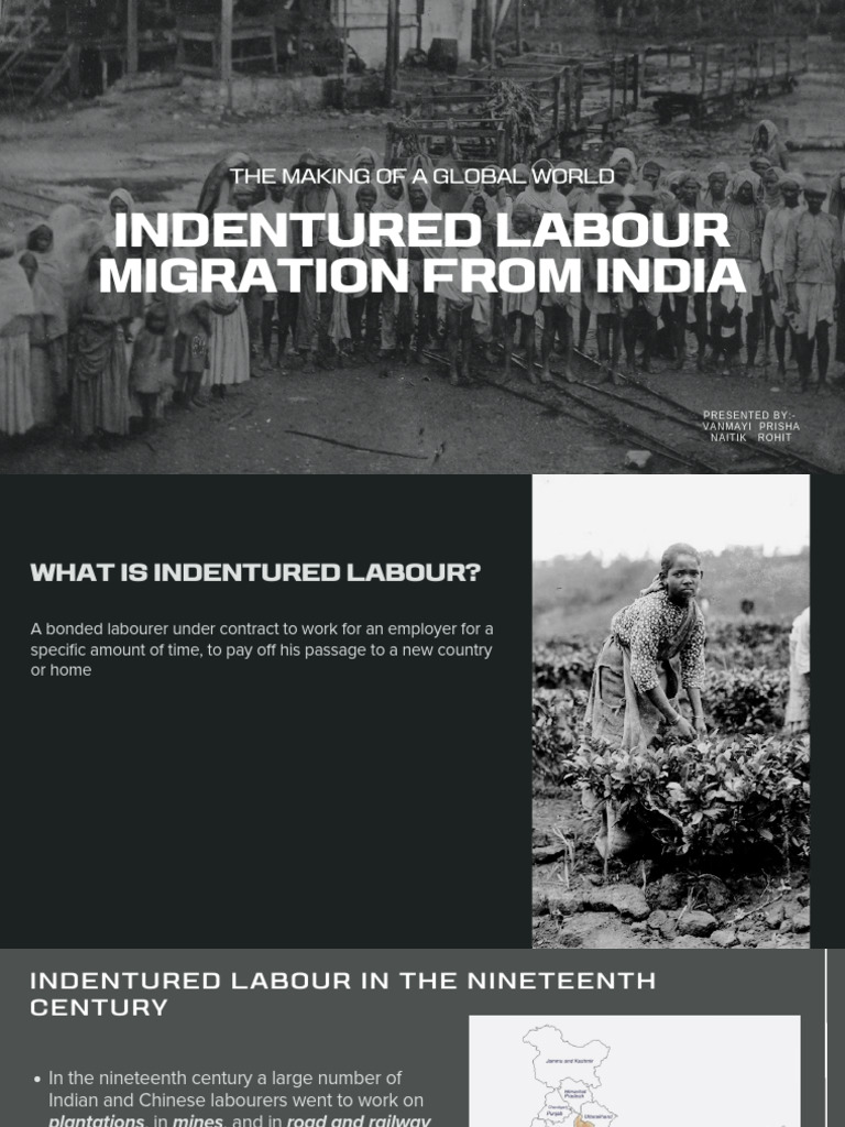 Indian Indentured Labour Migration | PDF | Unfree Labour | Labor