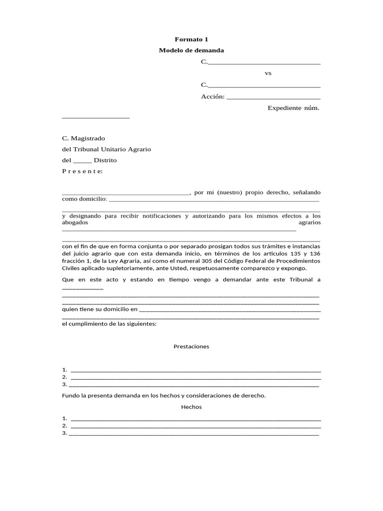 Formato 1 Modelo de Demanda | PDF