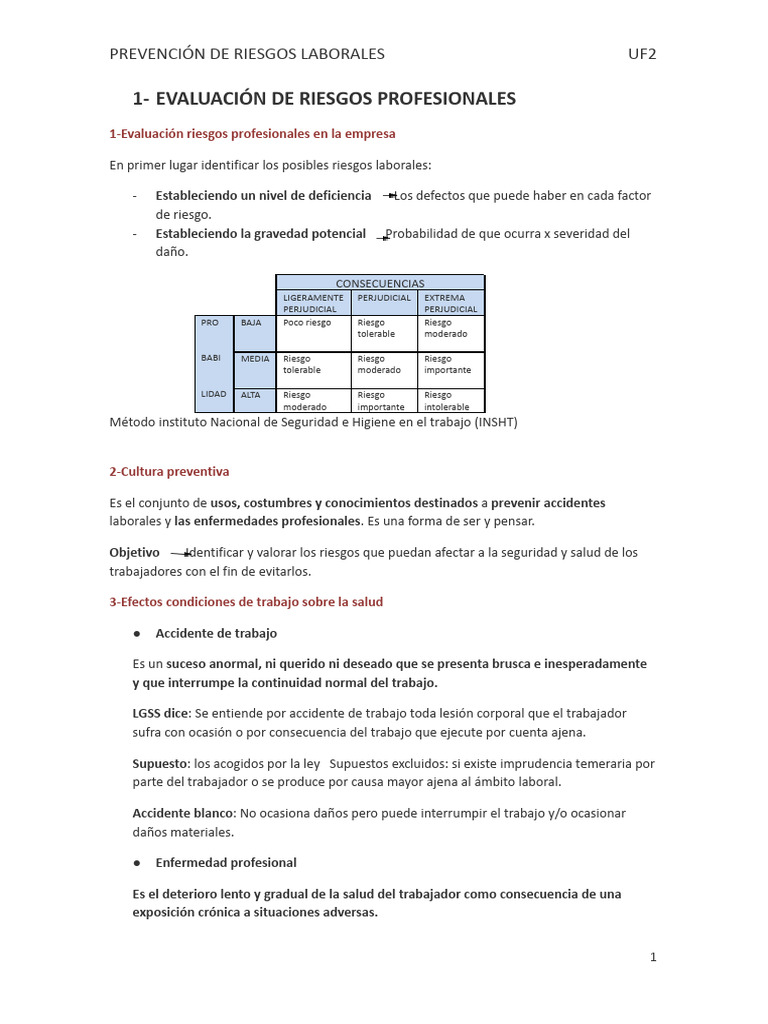 Resumen Total Fool | PDF