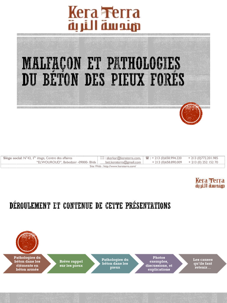 Malfaçons Des Pieux Forés Pdf