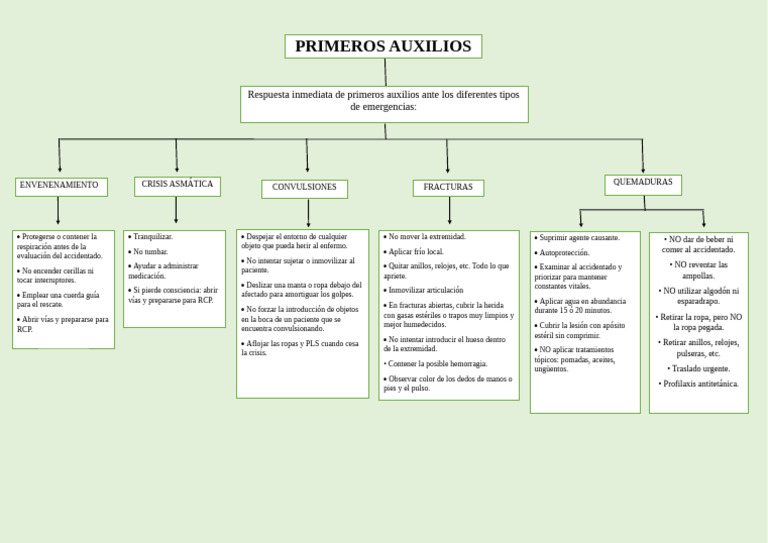 Mapa Conceptual De Los Primeros Auxilios PDF