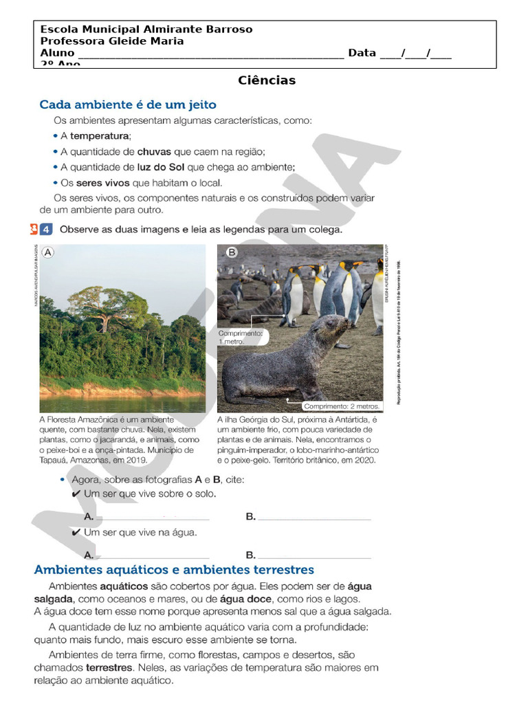 Ciências 3 - ambiente aquatico e terrestre, componentes não vivos 2 ano ...