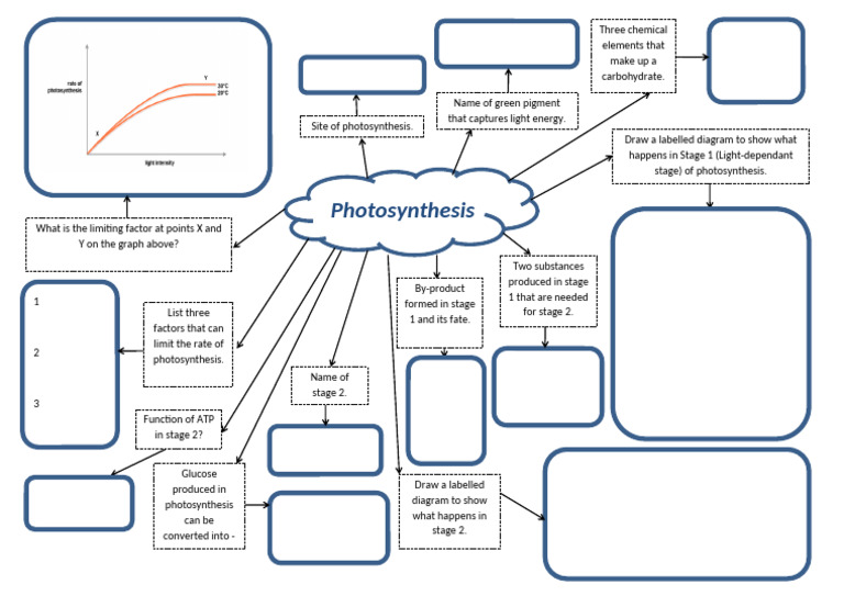 Photosynthesis | PDF