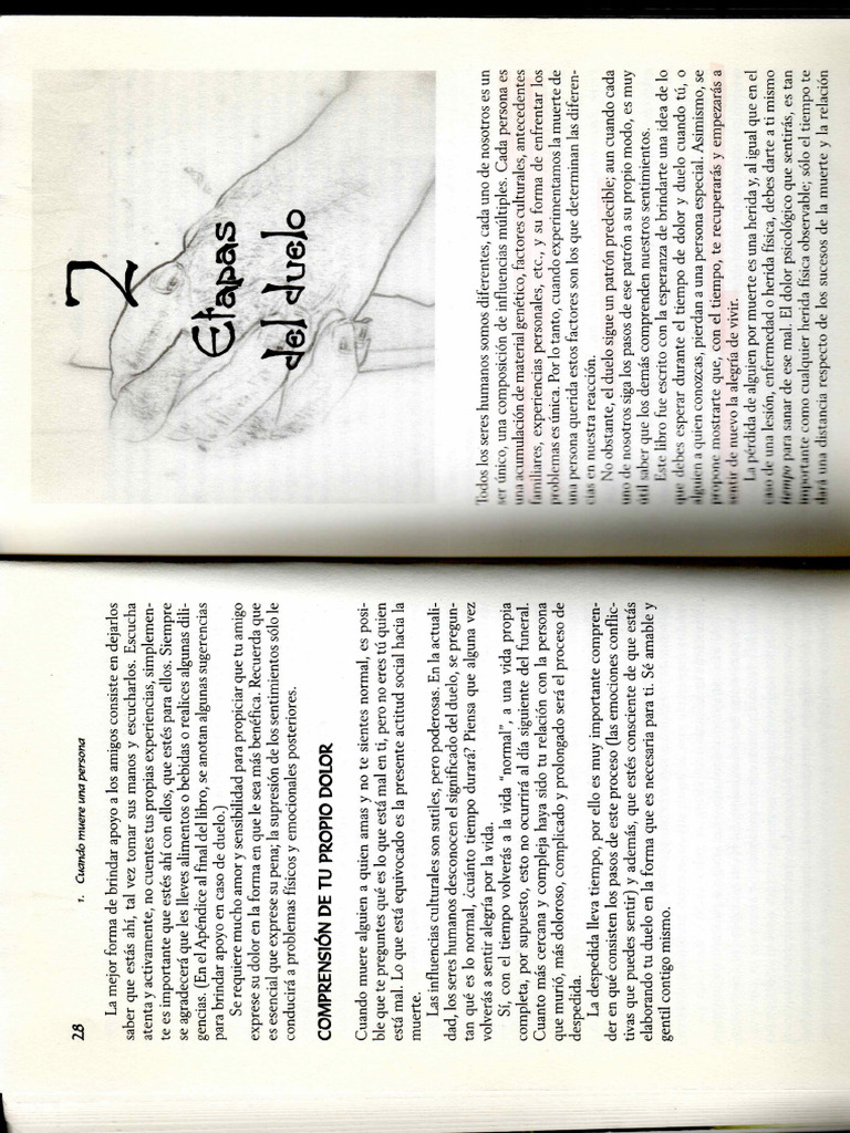 Etapas Del Duelo Pdf