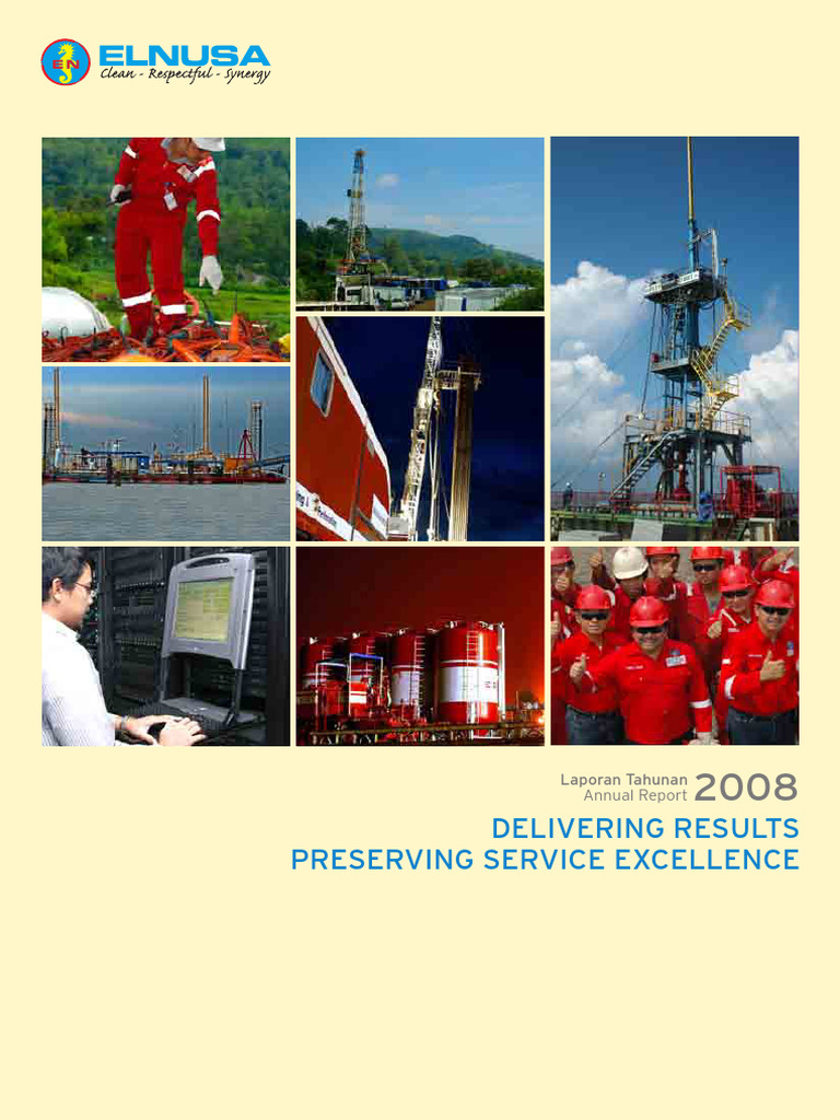 Annual Report Elsa 2008 | PDF