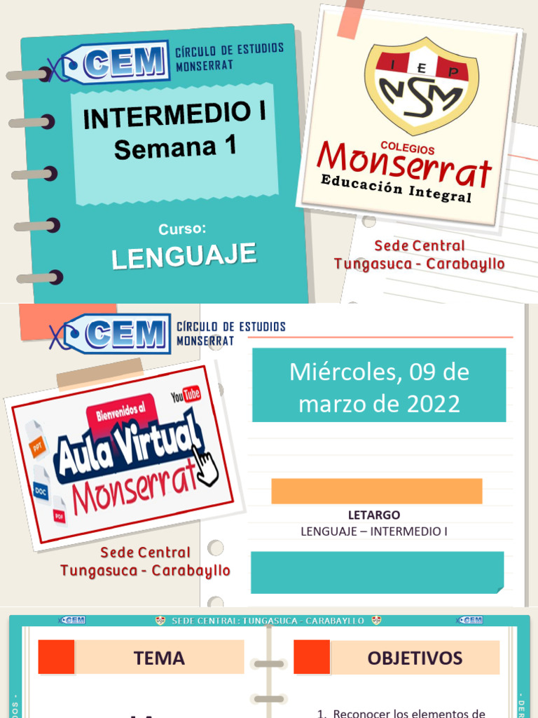 Sem 1 - La Comunicación | PDF