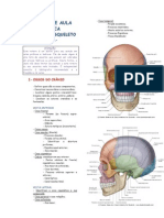 Ossos do Crânio e Esqueleto Axial