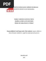 Responsabilidade Social Empresarial e Meio Ambiente