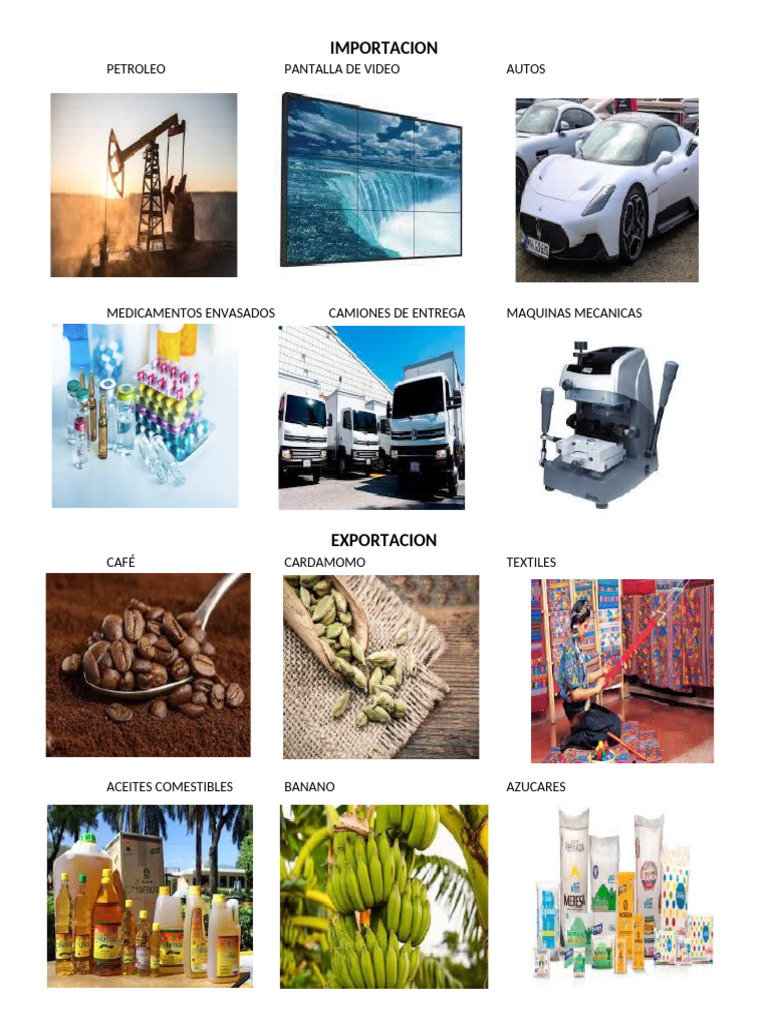 Importacion Y Exportacion Pdf