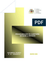 Documento+n°+24b+-+programa+en+auditoria+en+base+a+riesgos+v+0 3