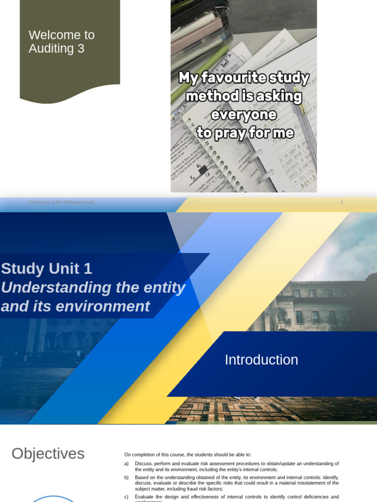 Study unit 1 and 3 understanding of the entity and its environment pdf
