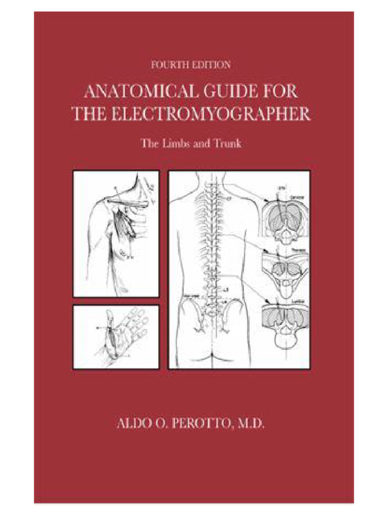 Anatomical Guide 4 EMGer, PEROTTO-1 | PDF