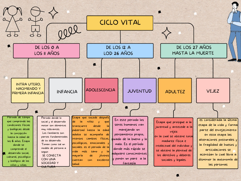 Ciclo Vital Del Ser Humano | PDF