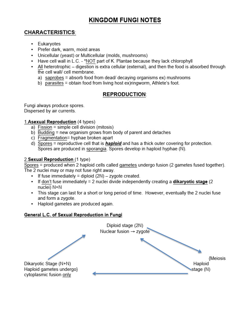 Characteristics and Reproduction of Fungi | PDF | Fungus | Ploidy