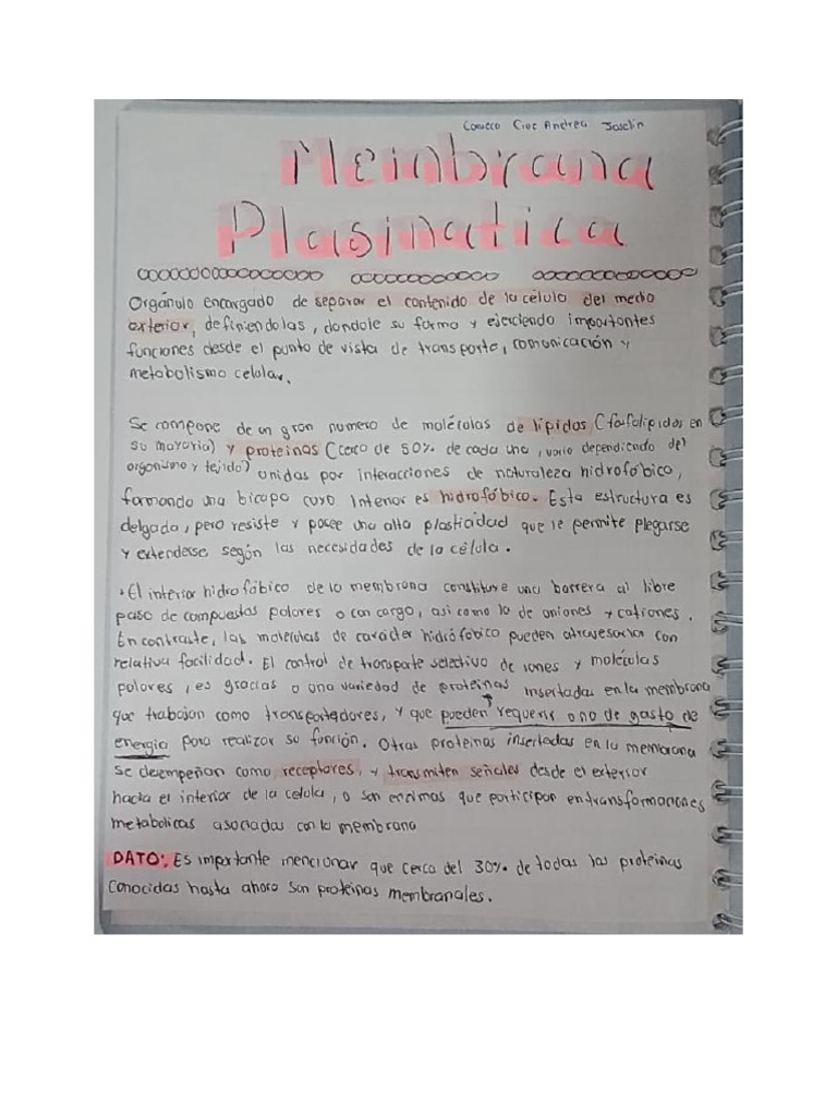 Membrana Plasmatica Pdf
