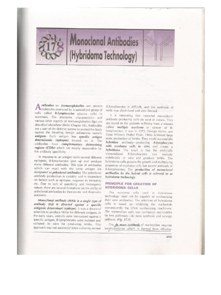 Monoclonal Antibody | PDF