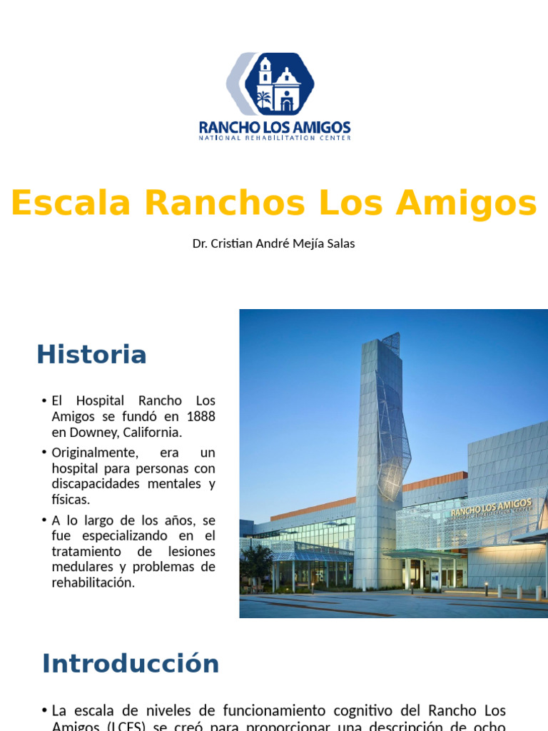 Rancho Los Amigos Scores