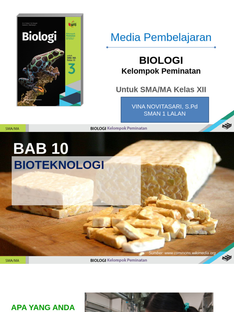 BAB 10 New | PDF