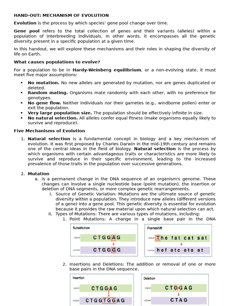 Hand Out - Mechanism of Evolution | PDF | Mutation | Science & Mathematics
