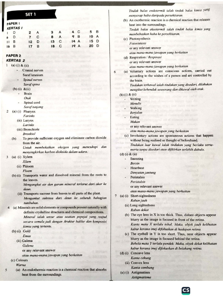 F3 Science - Set Answer | PDF