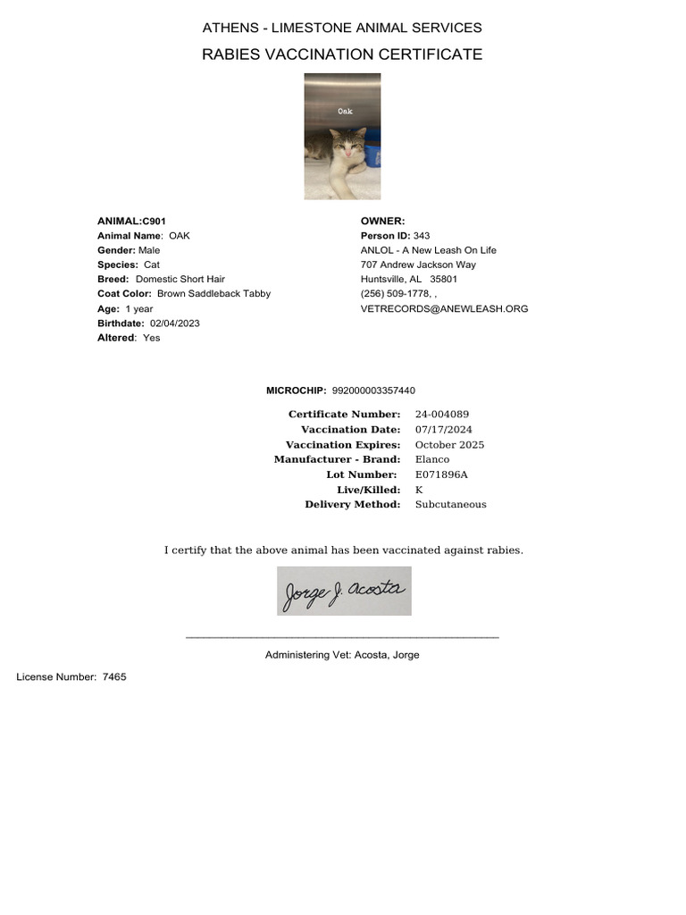 Cat Rabies Vaccination Certificate 2024 | PDF