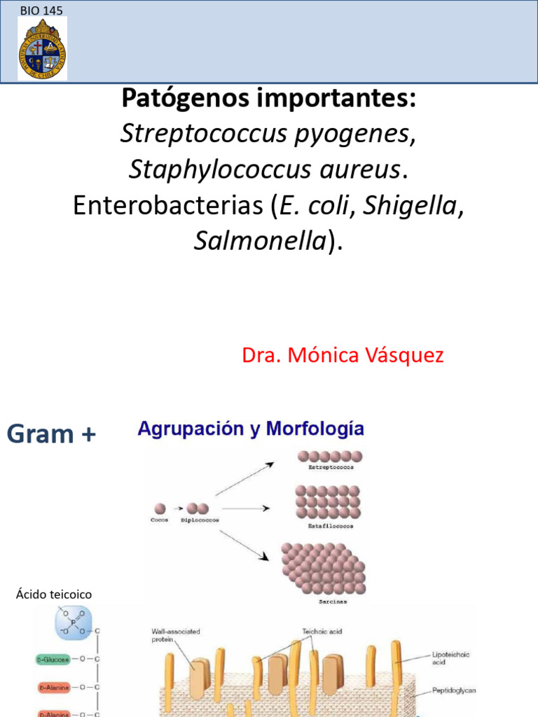 Patogenos Importantes 23 Sept PDF | PDF