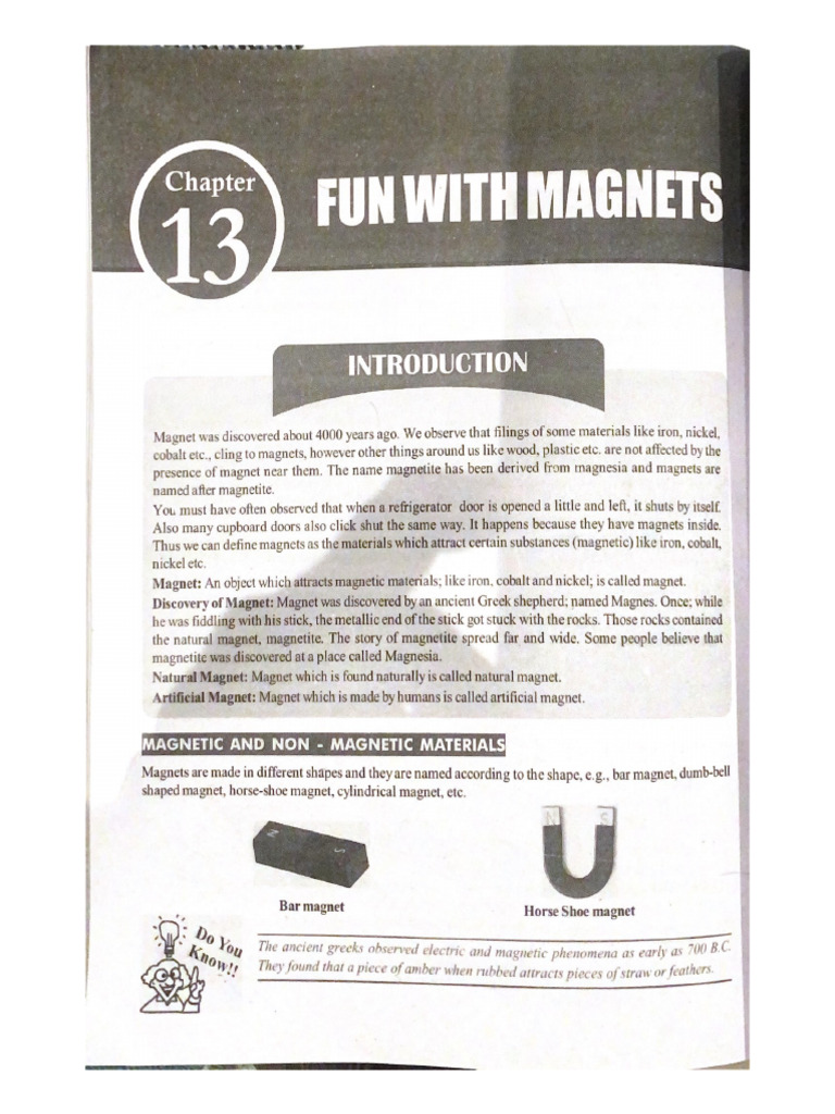 Fun With Magnets Theory Sri Chtny Book | PDF