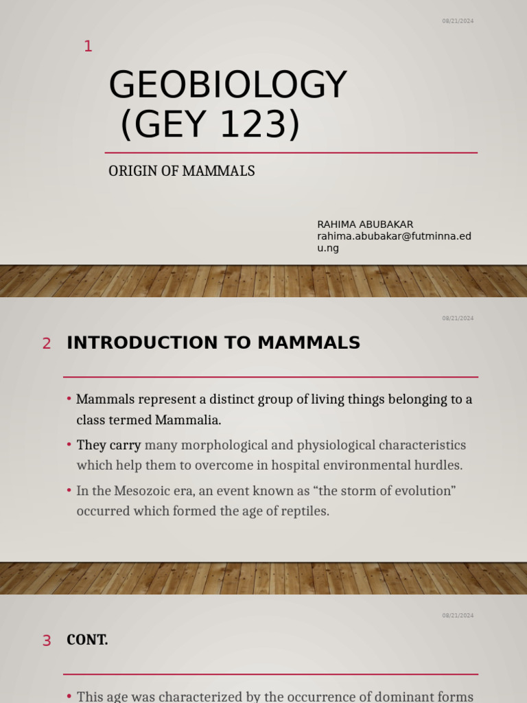 Origin and Evolution of Mammals | PDF | Mammals | Social Science