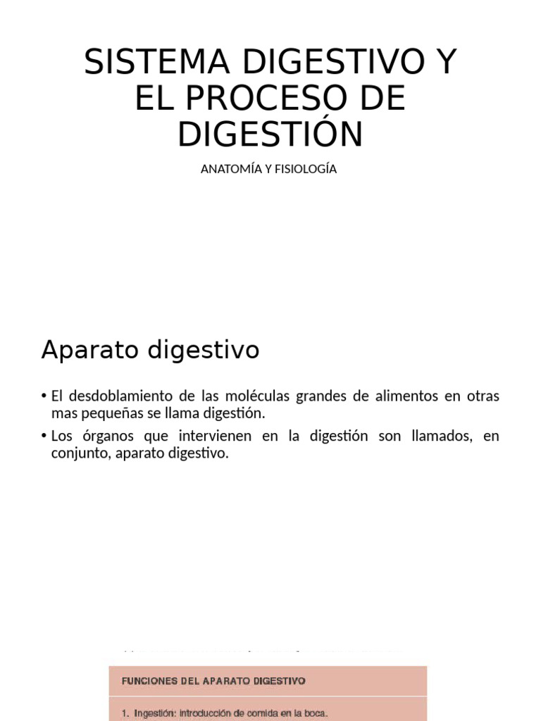 Sistema Digestivo Y El Proceso De Digestion Pdf