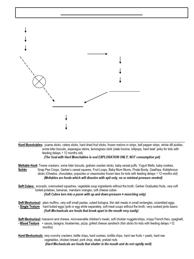 Developmental Food Continuum: - Evenly Mashed No Chunks | PDF