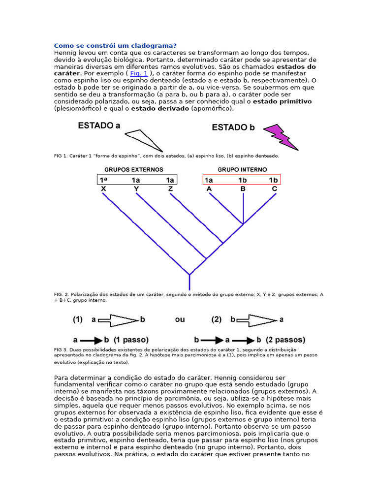 Como Se Constrói Um Cladograma | PDF | Filogenética | Taxonomia (Biologia)