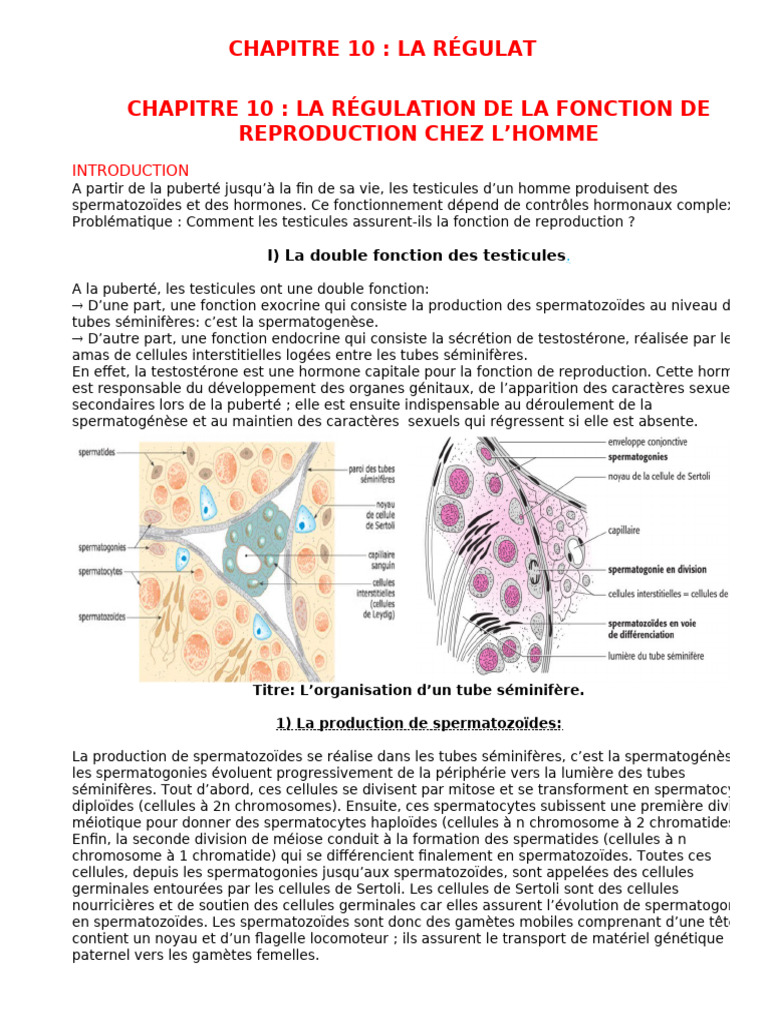 Chapitre_10 la Regulation | PDF