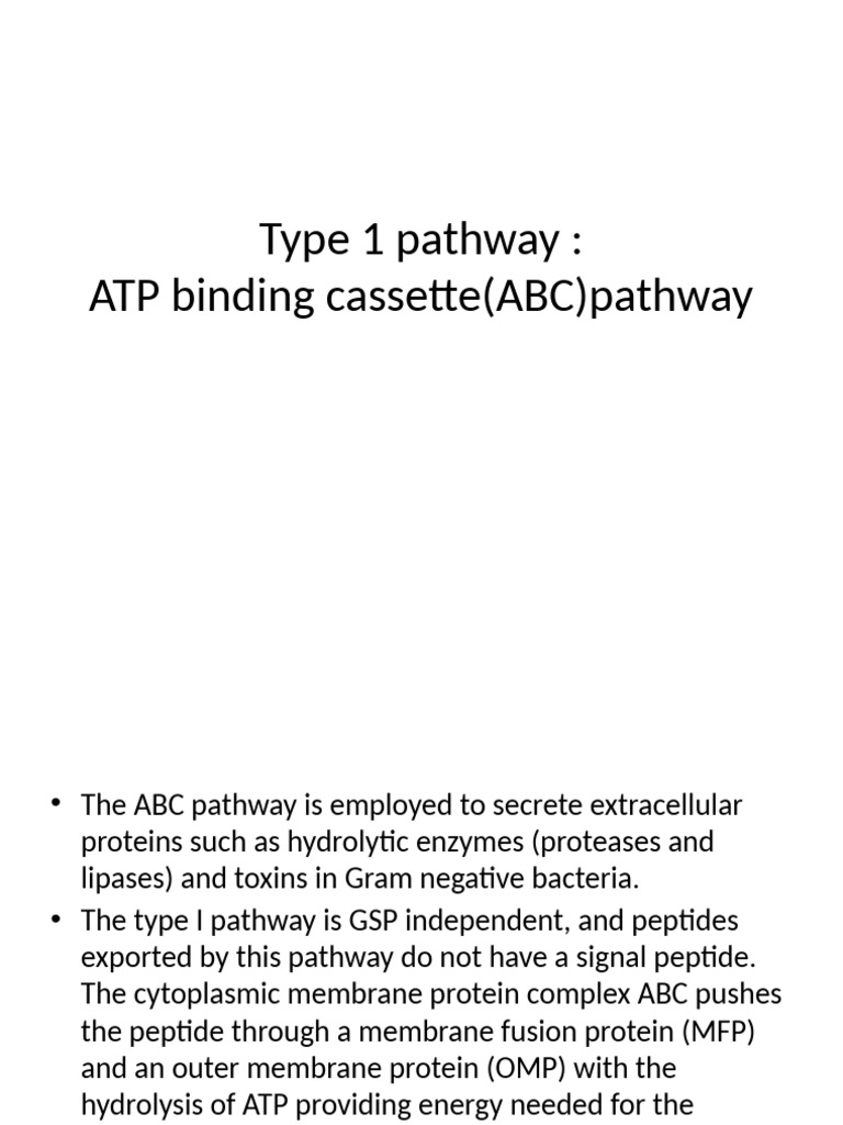 type-1-pathway-pdf