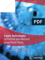 Casale Technologies For New Grass-Roots Plants