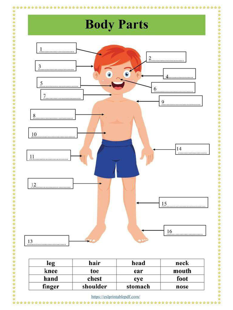 Body | PDF