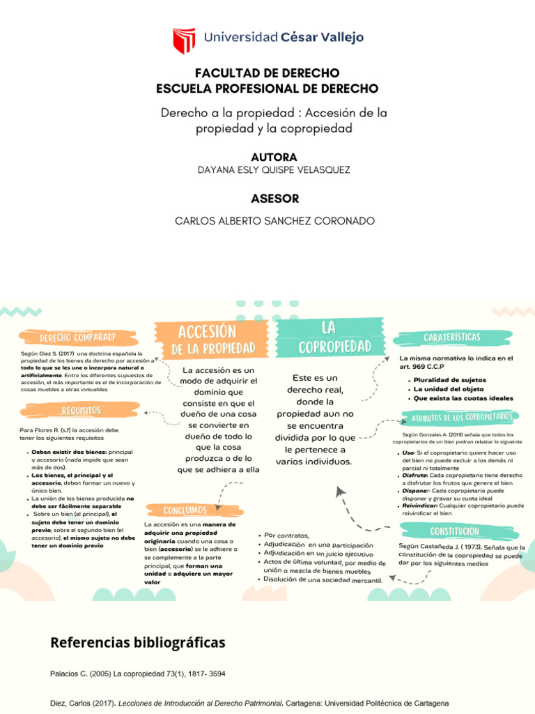 Derecho A La Propiedad Accesión de La Propiedad y La Copropiedad | PDF