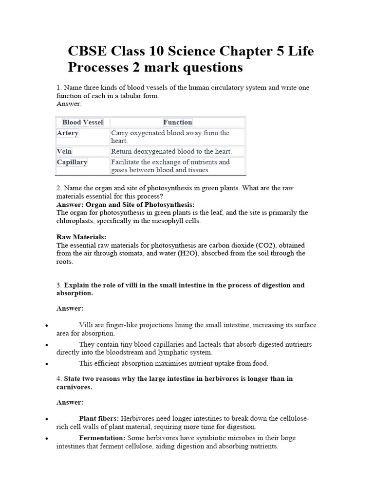 Cbse Class 10 Science Chapter 5 Life Processes 2 Mark Questions | PDF