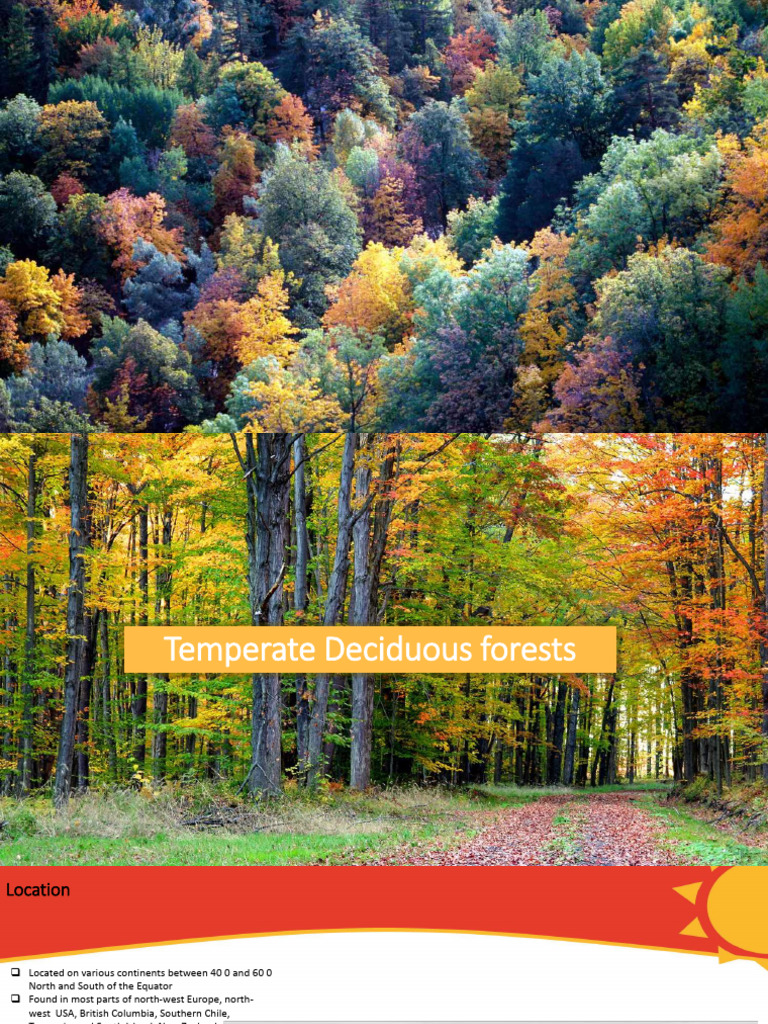 2.5 Temperate Biomes | PDF