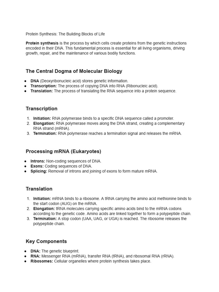 Make notes on protein synthesis pdf