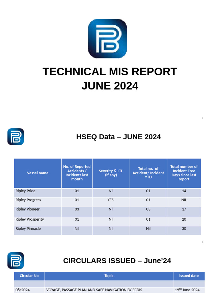 Technical MIS Report - June 2024 | PDF