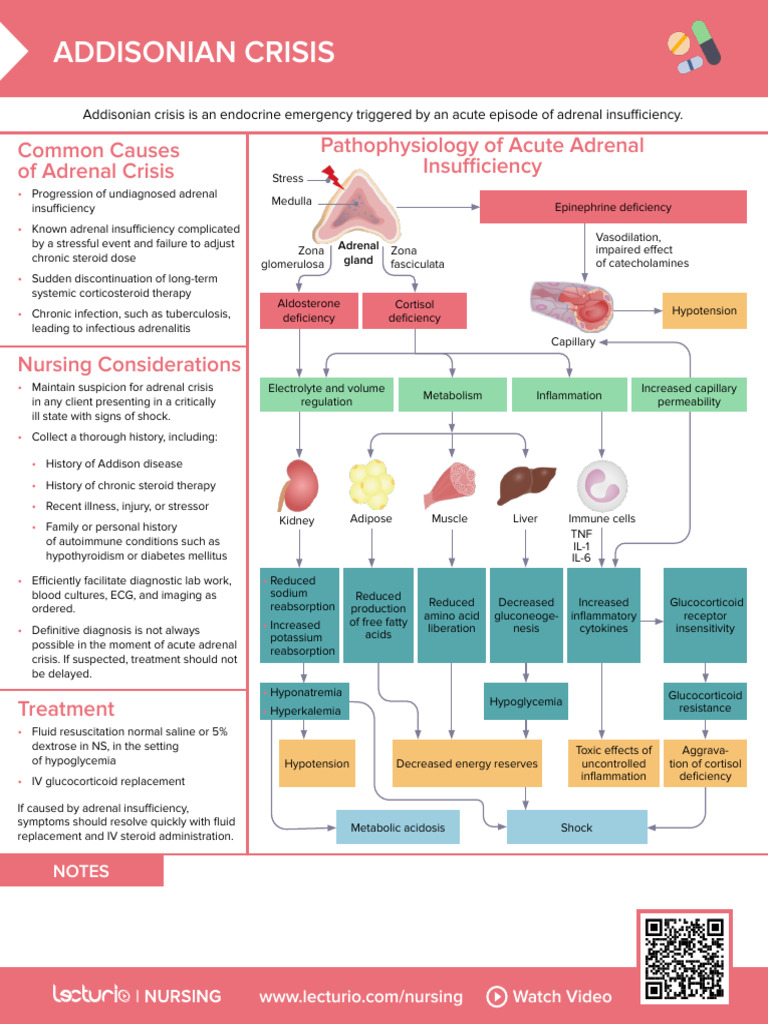 Addisonian Crisis: Nursing Guide | PDF | Adrenal Gland | Glucocorticoid