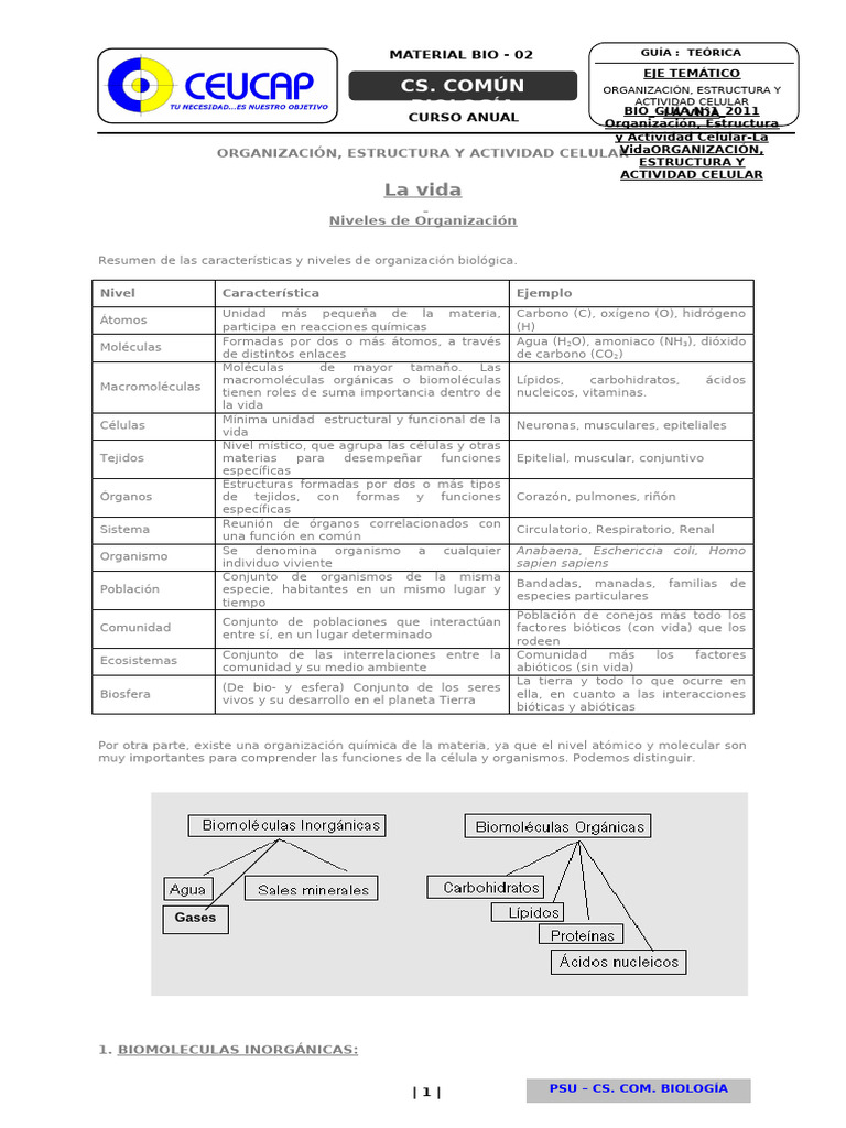 BIO - 2017 GUÍA N°2 - Organiz., Estr. y Act. Celular - La Vida | PDF