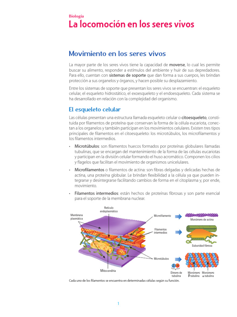 Locomocion en Los Seres Vivos | PDF