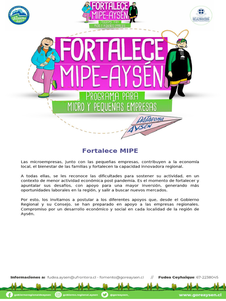 Formulario Postulacion Mipe | PDF | Educación de la primera infancia ...