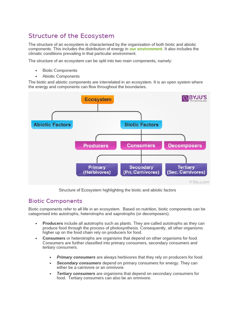 Structure and Function of The Ecosystem | PDF