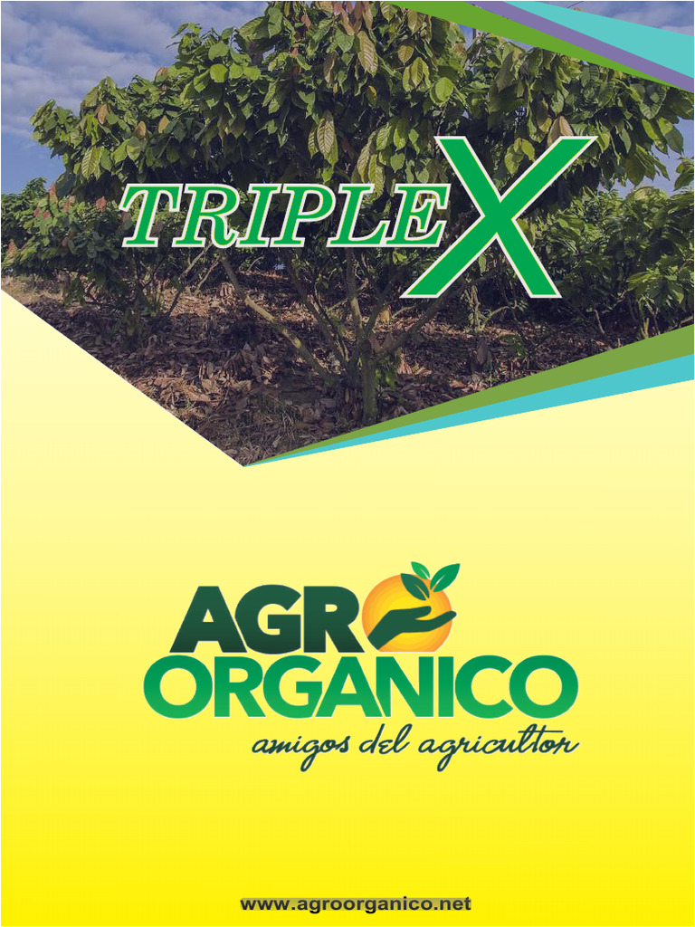 Triplex | PDF