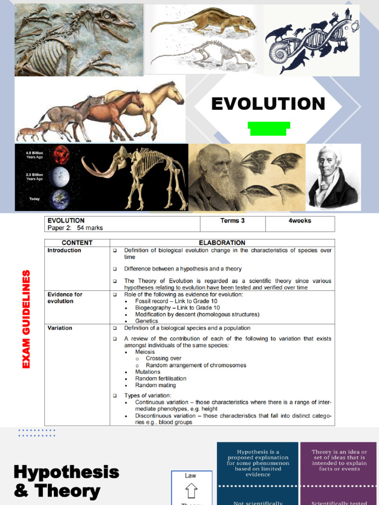 Evolution by Natural Selection Guide | PDF | Evolution | Science ...