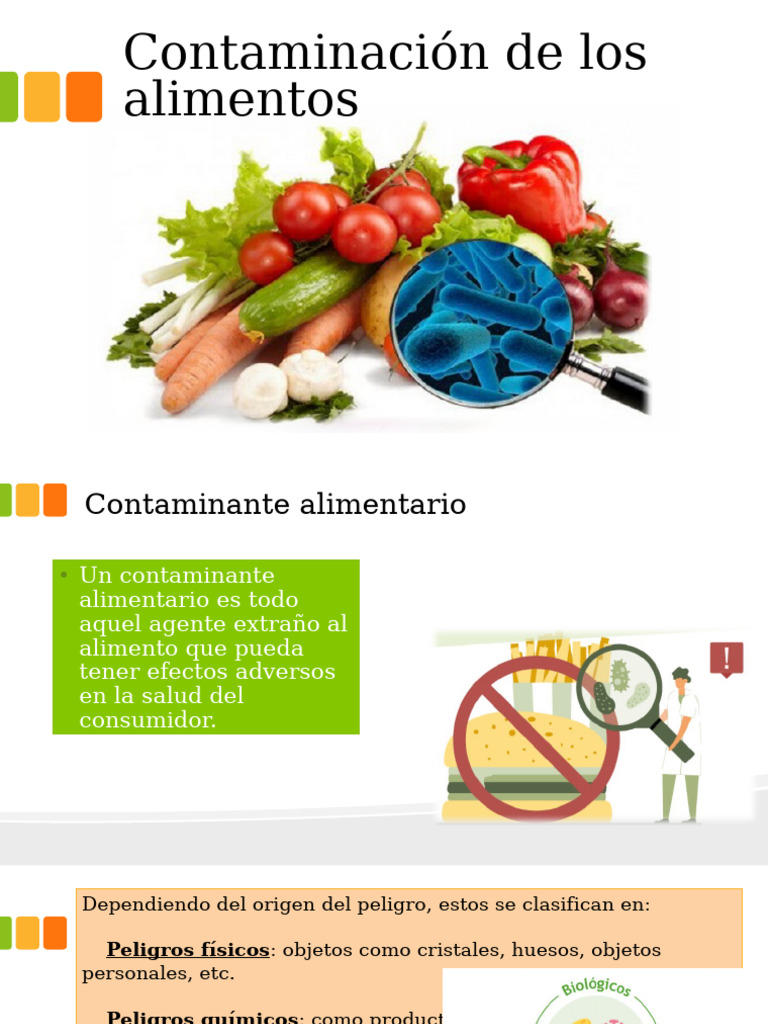 Contaminación de Los Alimentos | PDF