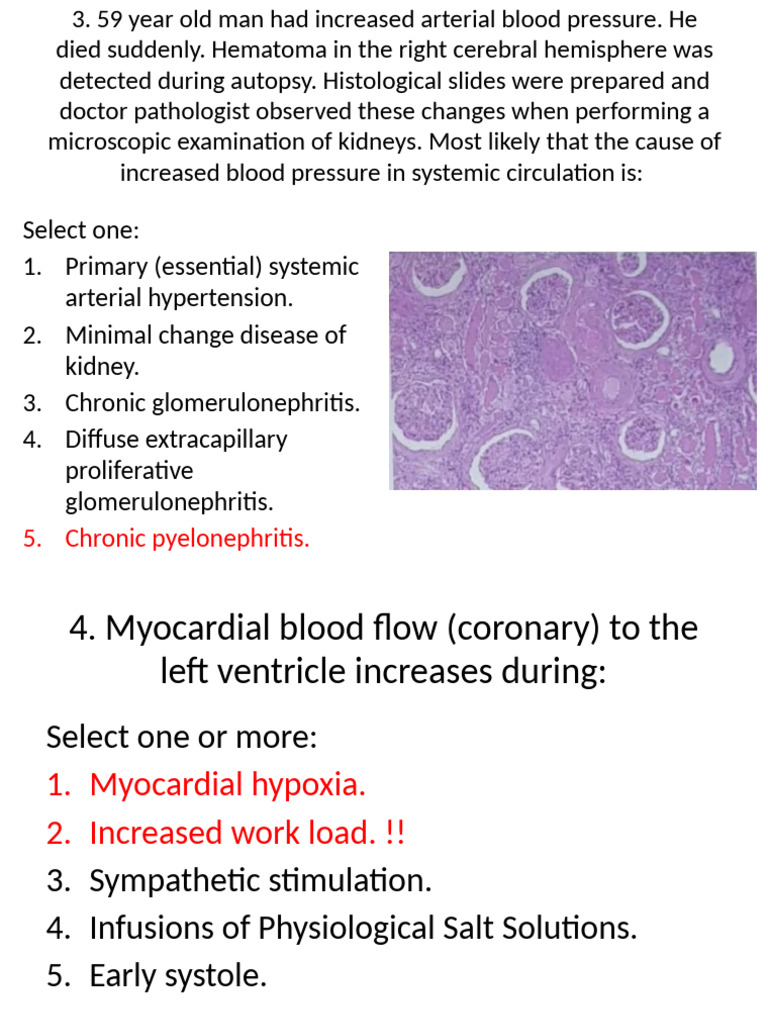 Circulation Exam PPT 49 | PDF